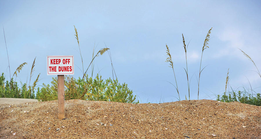 Beach Signs Photograph by JAMART Photography