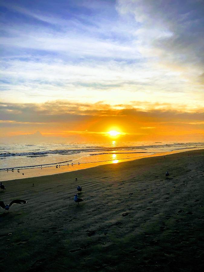New Smyrna Beach Sunrise Photograph by Rocco Silvestri
