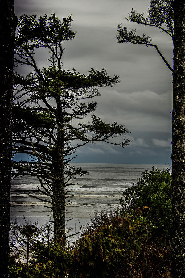 Beach View Photograph by Jerry Cahill