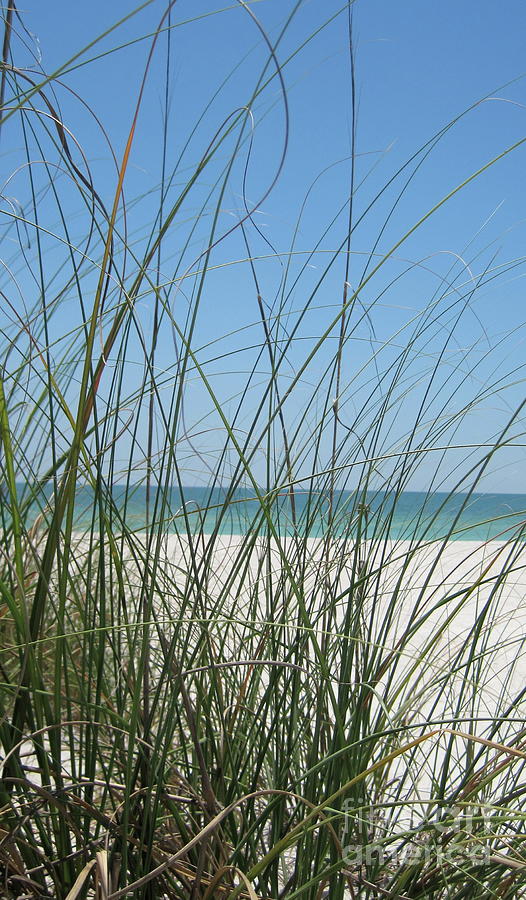Emerald Photograph - Beach View by Megan Cohen Emerald Photograph - Beach View by Megan Cohen