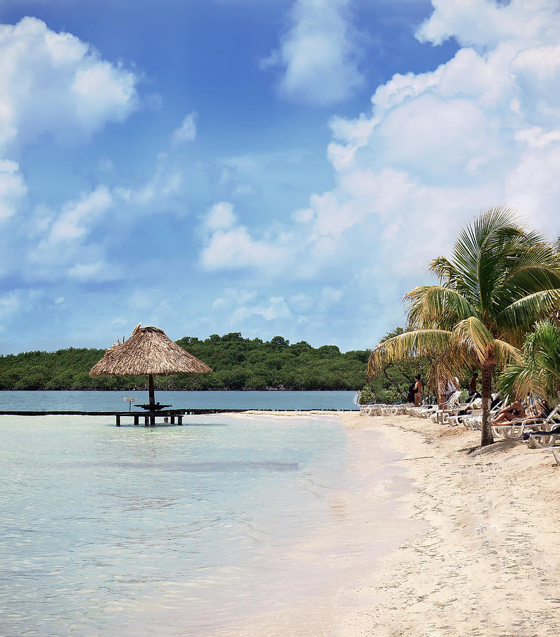 Beach View Of Bannister Island, Belize Photograph by Calvert Byam