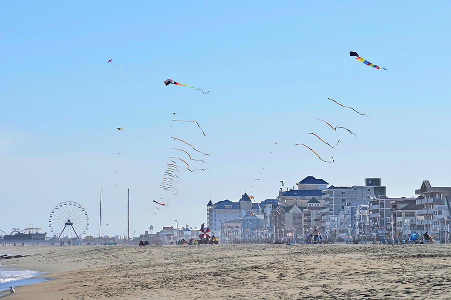 Beach View With Kites Photograph