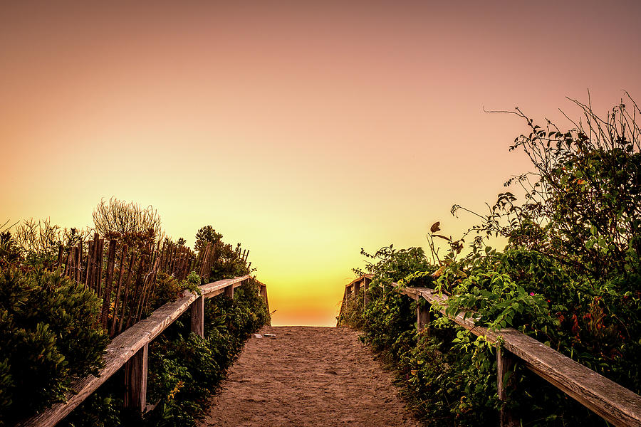 Path Over The Dunes At Sunrise. by Jeff Sinon Path Over The Dunes At Sunrise. by Jeff Sinon