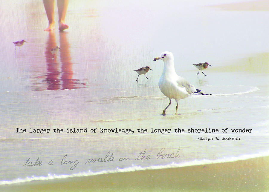 BEACH WALK quote Photograph by JAMART Photography