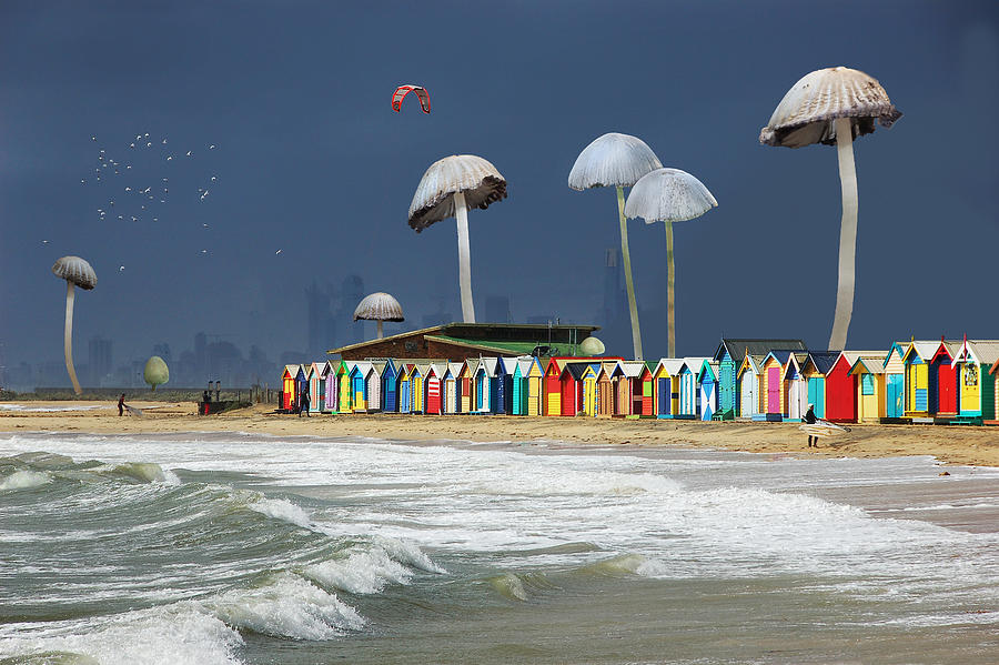 Beach With Bathing Boxes Photograph by Peter Hammer