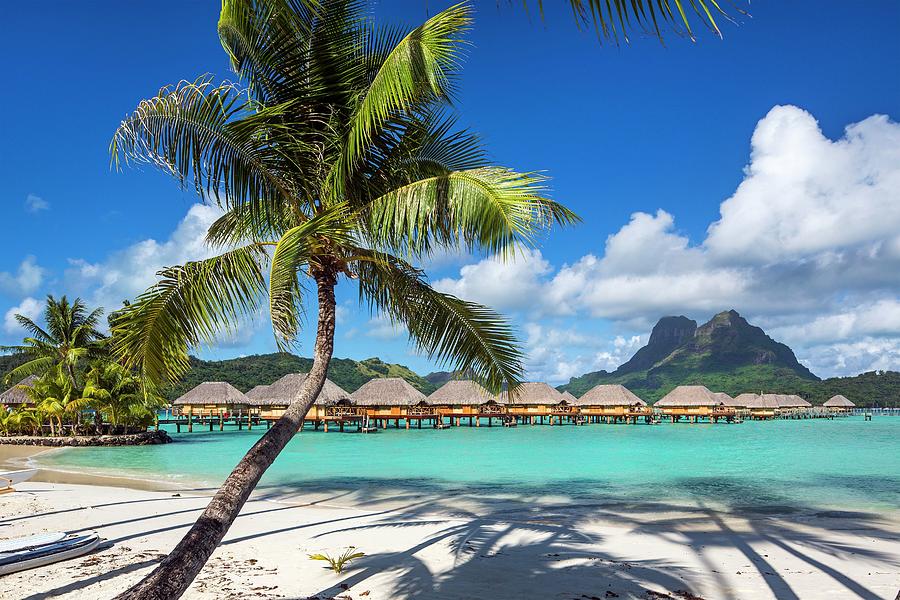 Beach With Bungalows In Bora Bora Digital Art by Reinhard Schmid - Fine ...