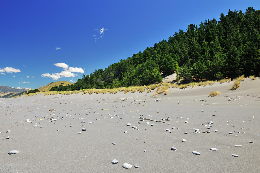 Beach With Coastal Forest Photograph by Raimund Linke - Fine Art America