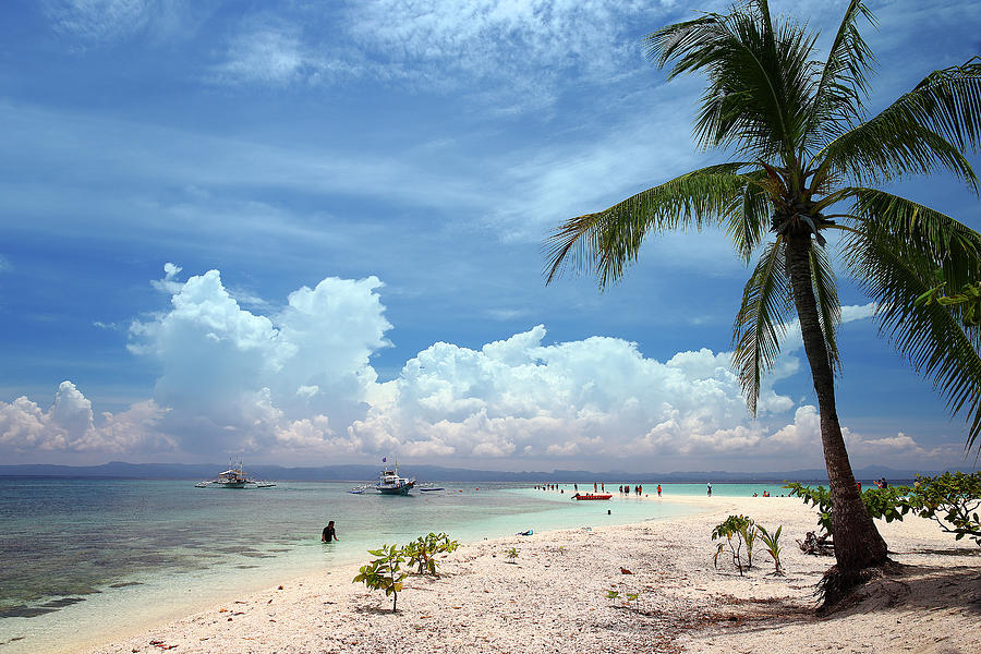 Beach With Palm Trees, Kalaggaman Photograph by David Santiago Garcia ...