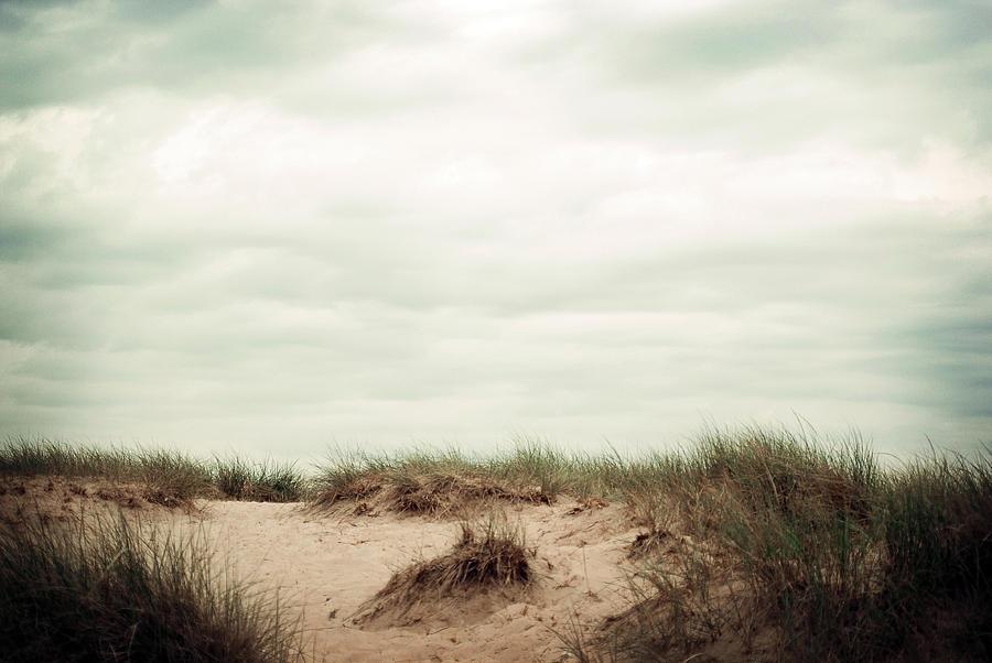 Beaches Photograph by Michelle Wermuth