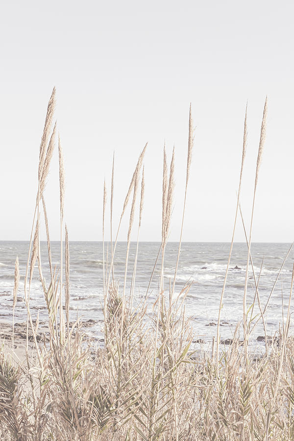 Landscape Photograph - Beach_vass_001 by 1x Studio Iii