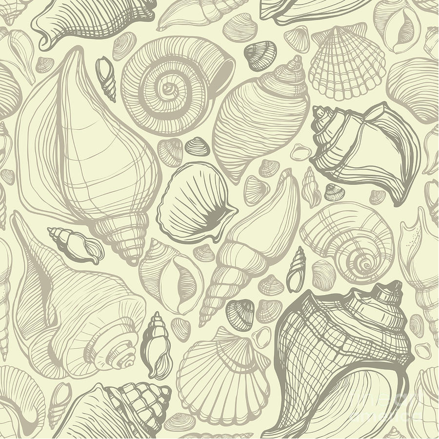 seashell pattern