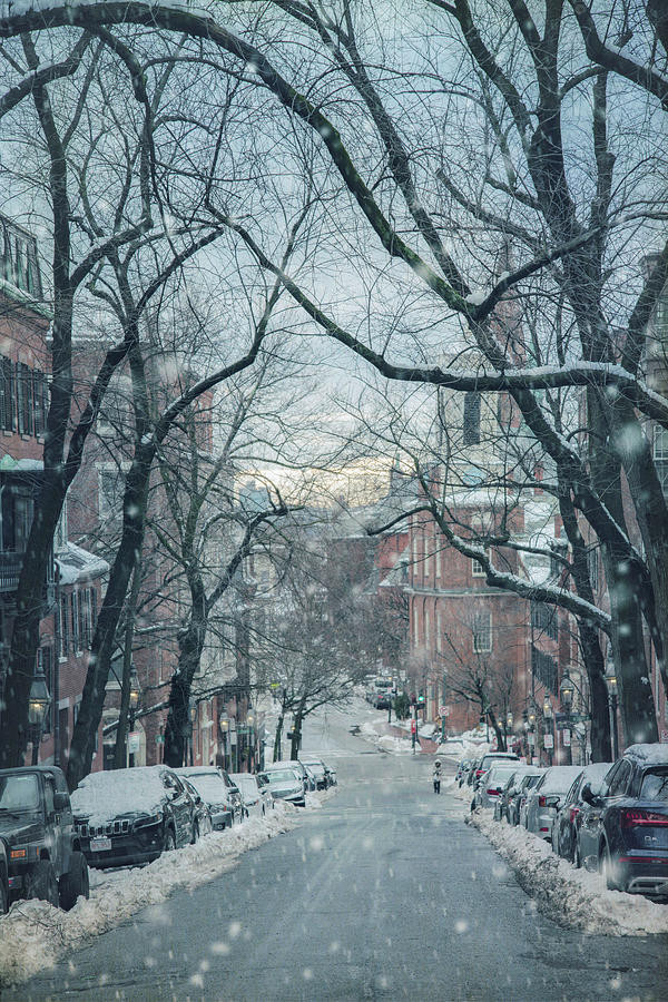 Beacon Hill Morning Snow Photograph by Joann Vitali