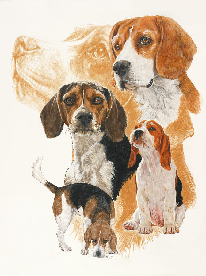 Beagle Painting - Beagle And Ghost Image by Barbara Keith