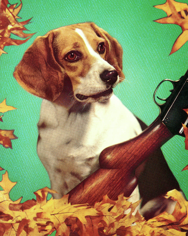 Fall Drawing - Beagle Dog and Gun by CSA Images