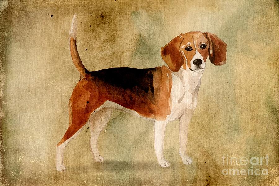 Beagle Painting by John Edwards