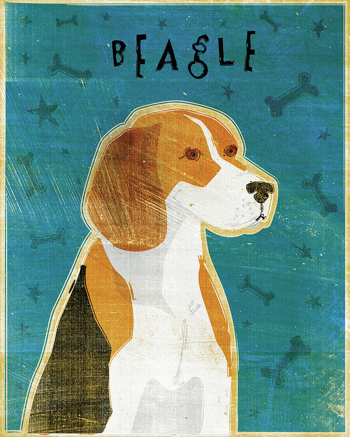 Animal Digital Art - Beagle by John W. Golden