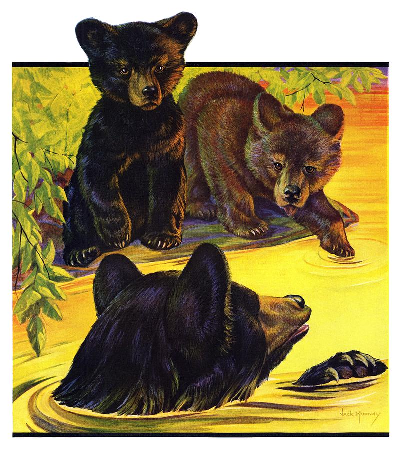 Bear And Cubs In River Drawing by Jack Murray