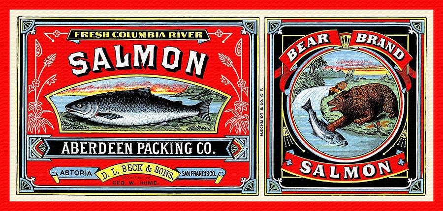Bear Brand Salmon Painting by Unknown