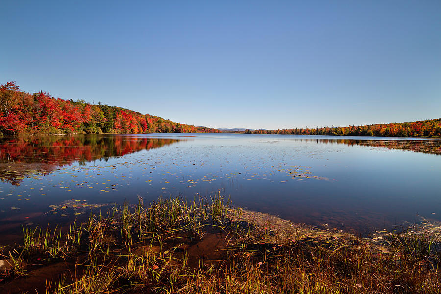 Bear Brook Photograph by Ed Fletcher - Fine Art America