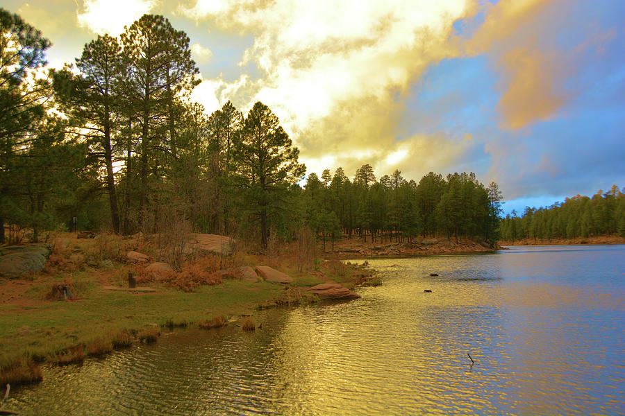 Bear Canyon Lake Arizona Photograph by Nancy Jenkins - Fine Art America