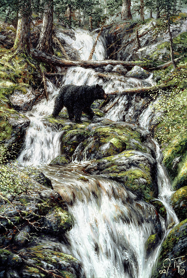 Bear Creek Crossing Painting by Jeff Tift