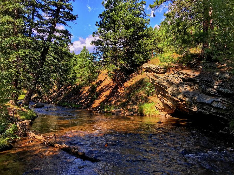 Bear Creek Photograph by Dan Miller
