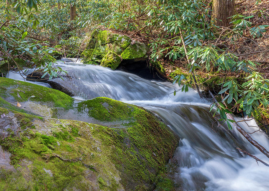 Bear Creek Waterfall Long Exposure Photograph