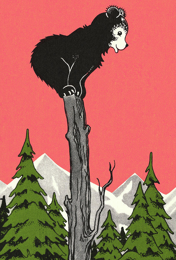 Nature Drawing - Bear Cub Standing on a Tree Stump by CSA Images