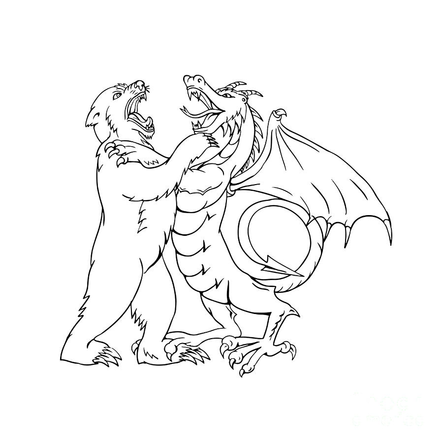 Bear Fighting Chinese Dragon Drawing Black And White