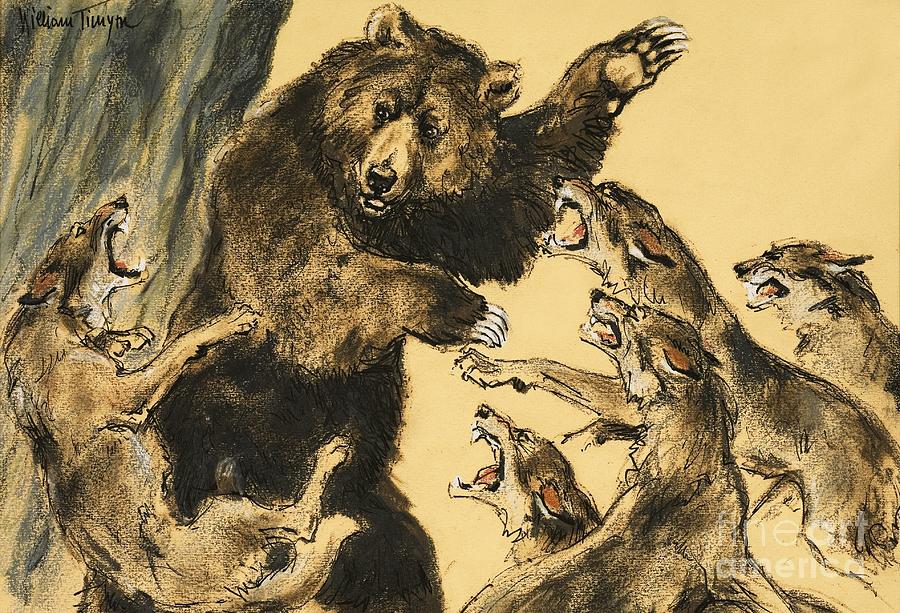 bear-fighting-wolves-painting-by-william-timyn-fine-art-america