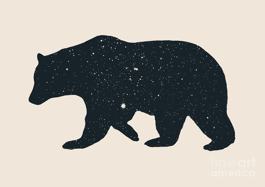 Bear Digital Art by Florent Bodart