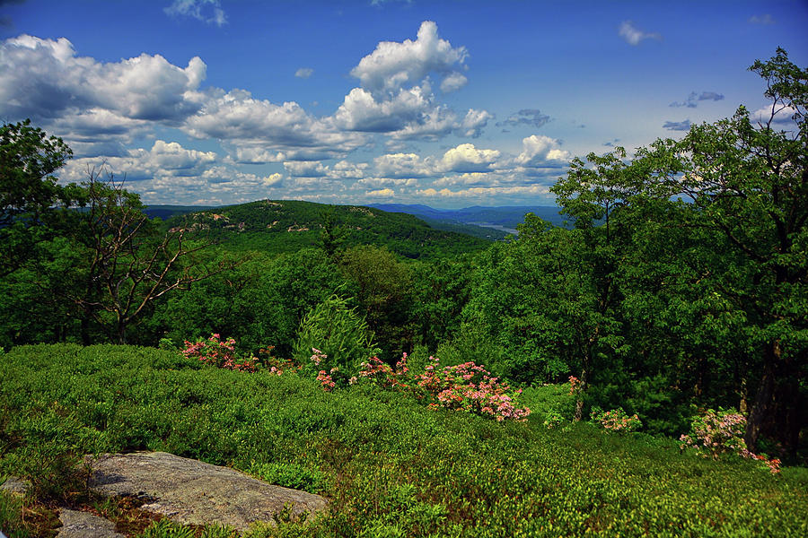 Bear Mountain, Mountain Laurel, Hudson River from West Mountain Photograph by Raymond Salani III