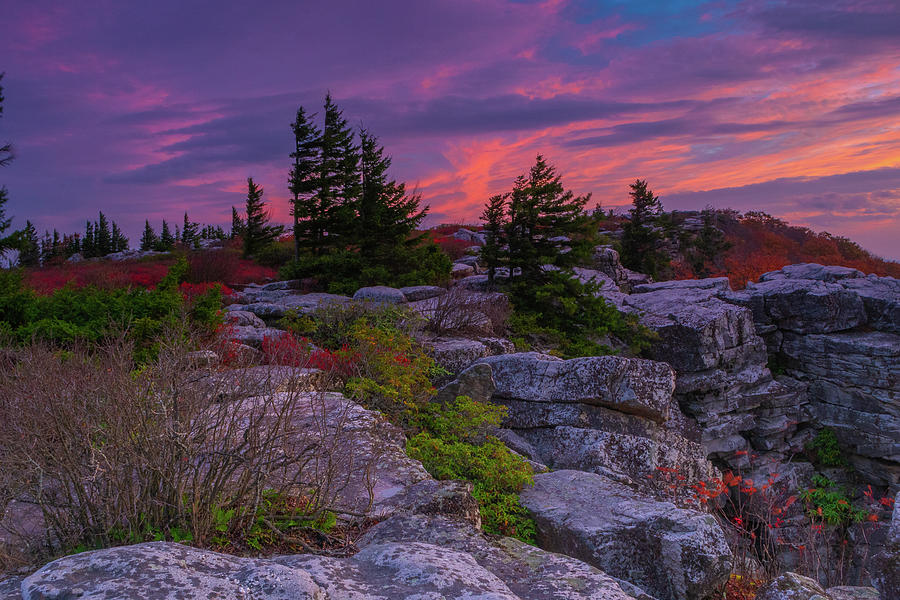 Bear Rocks Sunrise-1 Photograph by Jason Funk