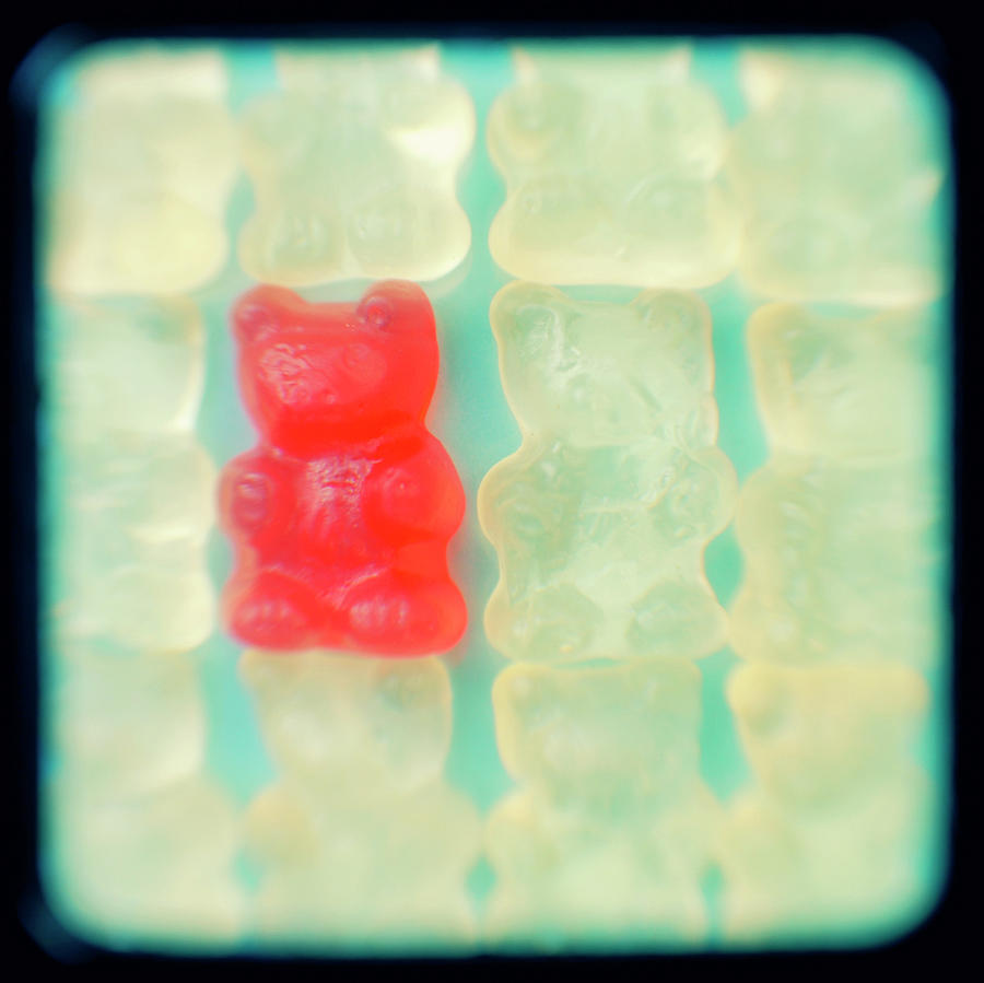 Bear Shaped Jelly Candy Sweets One Red Photograph by Robert Reader