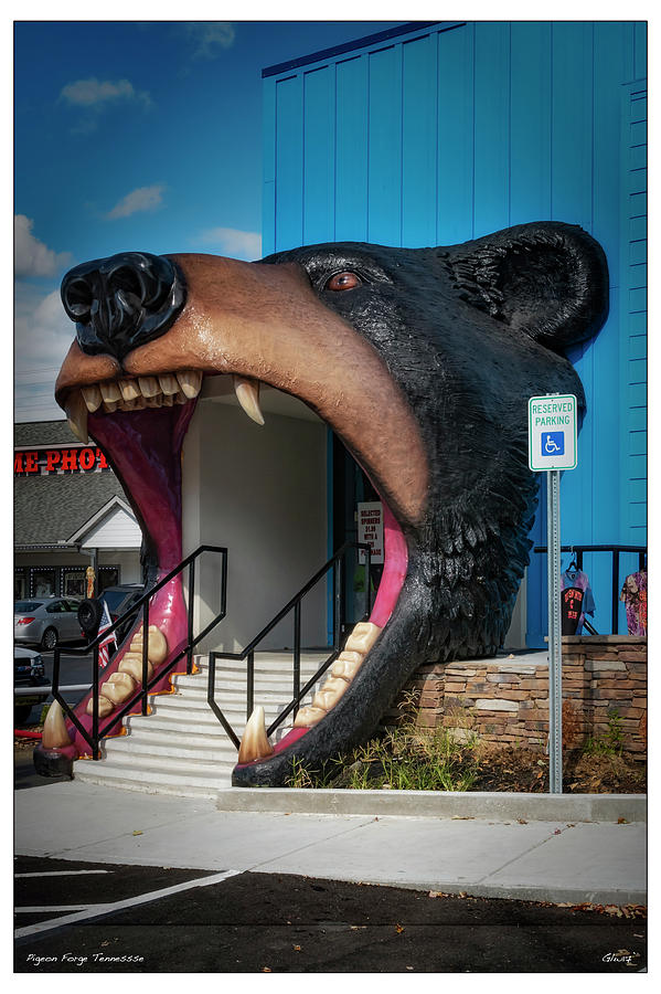 Bear Store Photograph