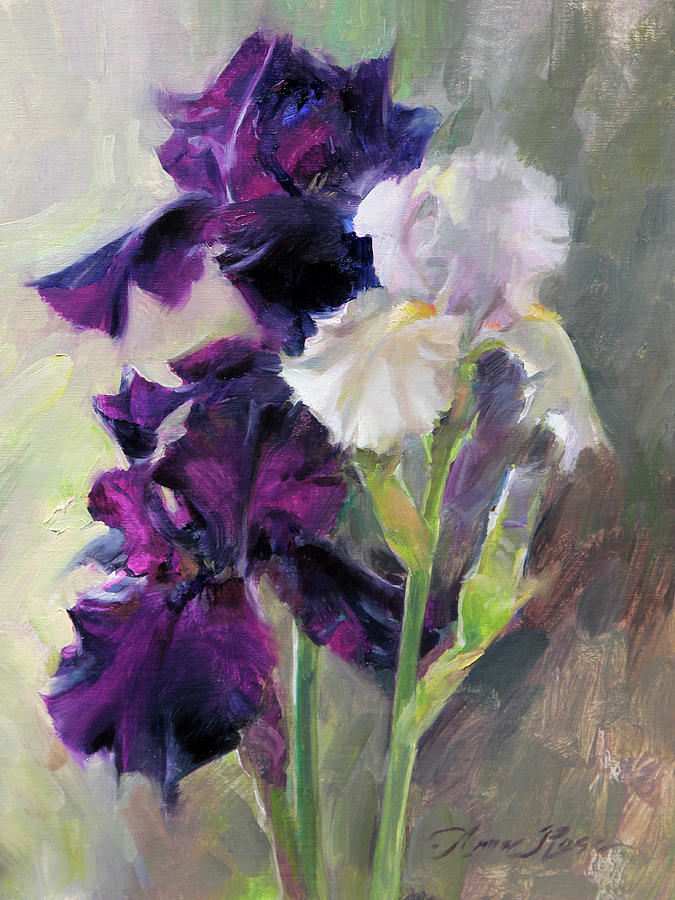 Iris Painting - Bearded Irises by Anna Rose Bain