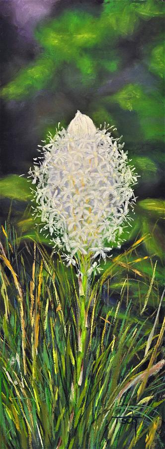 Beargrass Blossom Pastel by Lee Tisch Bialczak Beargrass Blossom Pastel by Lee Tisch Bialczak
