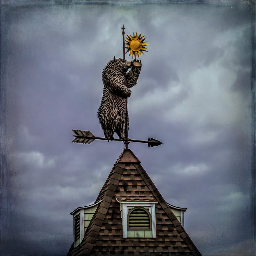 Bearly Touching The Sun Weather Vane Photograph by Leslie Montgomery