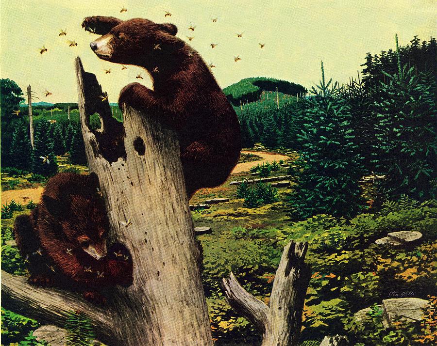 Nature Drawing - Bears And Honey by Stan Galli
