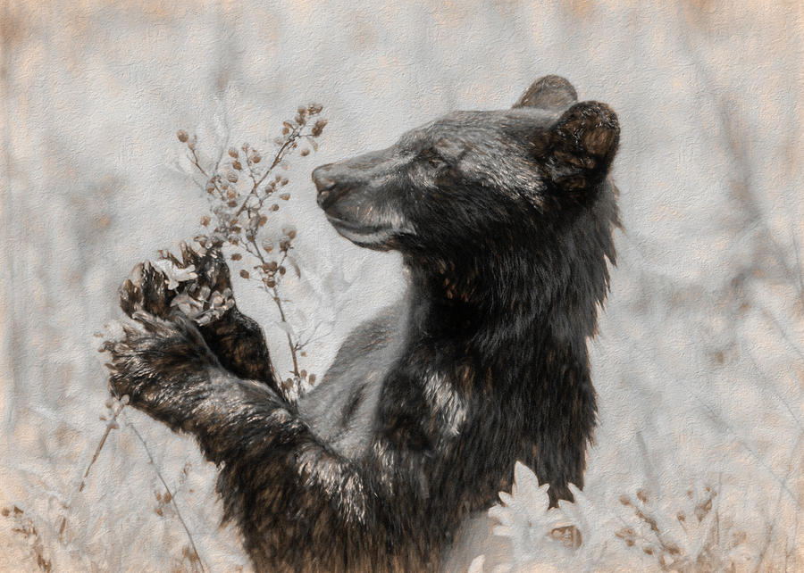 Bears Love Blackberries, Black and White Textured Photograph by Marcy Wielfaert