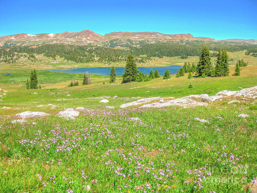 Beartooth Highway Usa Photograph by Benny Marty
