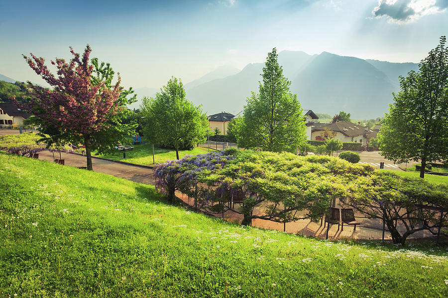 Beatiful Italian Garden With Alps Photograph
