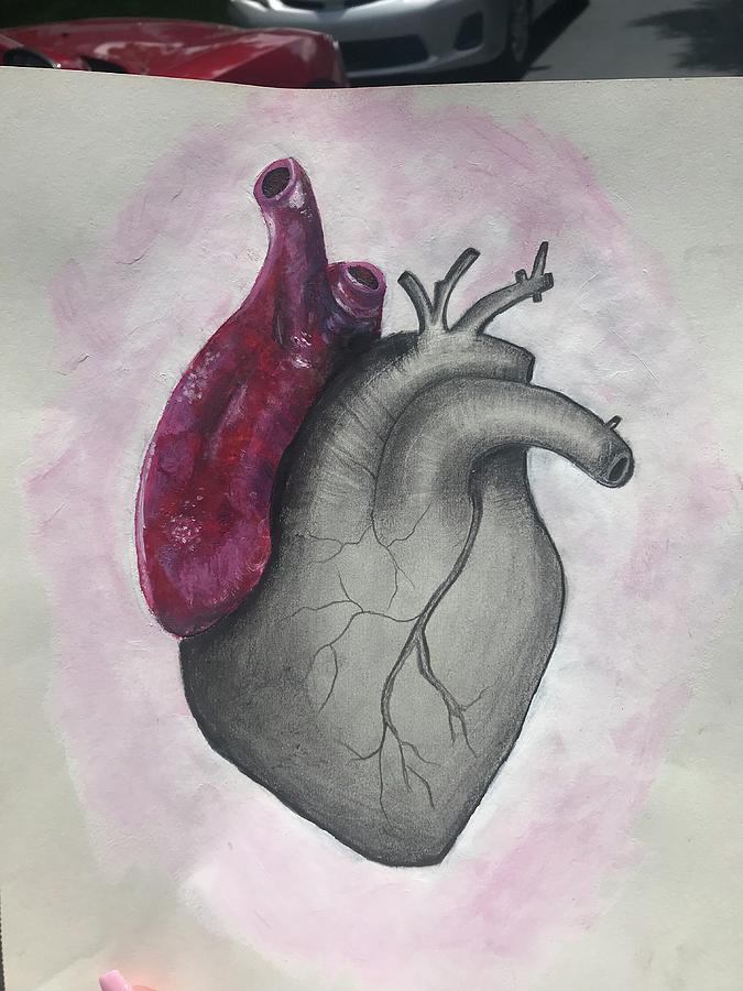Beating Heart Drawing by Madison Hines Fine Art America