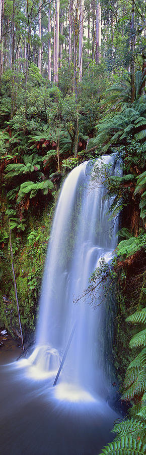 Waterfall Photograph - Beauchamp Falls Vert II by Wayne Bradbury Photography