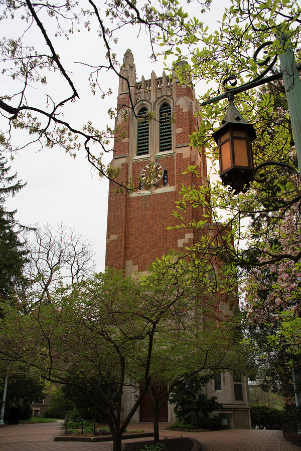 Beaumont Tower 3 Photograph