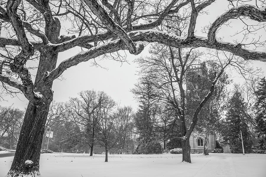 Beaumont Tower in Winter  Photograph by John McGraw