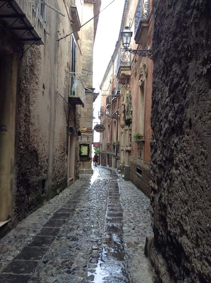 Beautiful alley Photograph by Tracy Dinunzio - Fine Art America