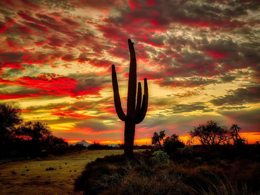 Beautiful Arizona Sunset Photograph By Mountain Dreams