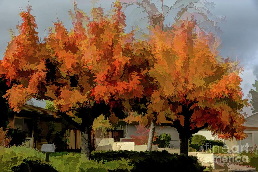 Beautiful Autumn Color Trees Art Photography  Digital Art by Chuck Kuhn