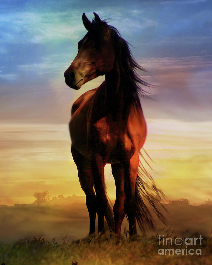 Beautiful Bay Horse Soft Sky Colors Photograph by Stephanie Laird